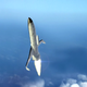 Illustration for article titled The Pentagon Takes Its Next Major Step Towards A Reusable Spaceplane